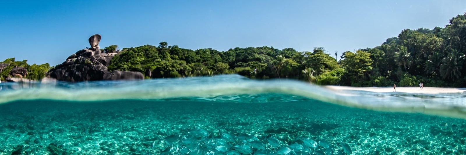 ClementVenot's profile banner image