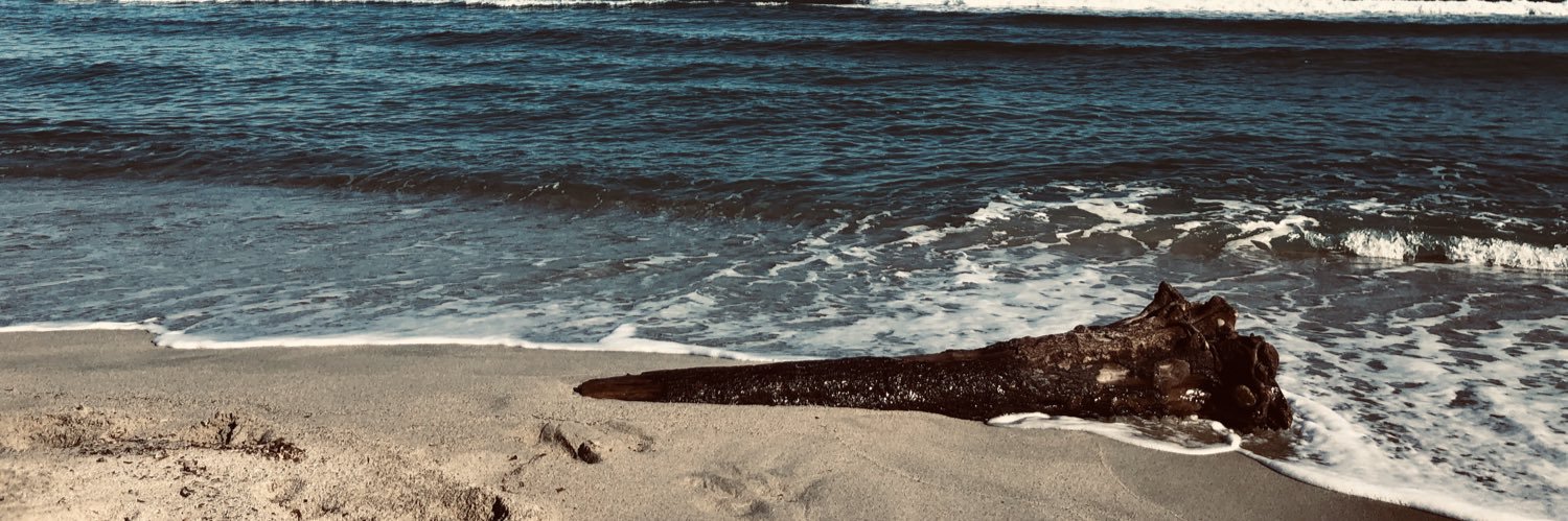 Paul-Mathieu Santucci banner