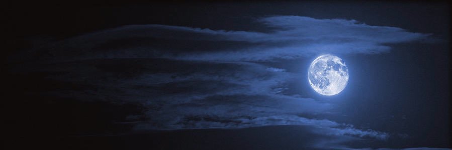 Carson banner