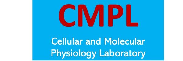 CMPLPUCCHILE Profile Banner