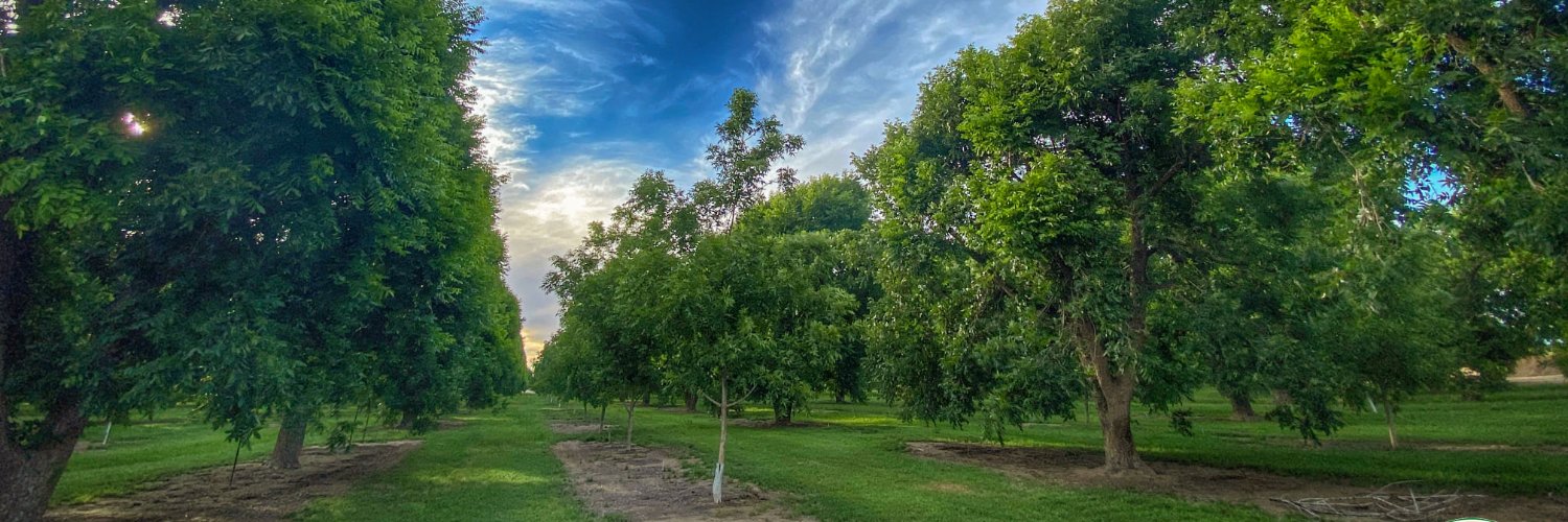 pecanstore's profile banner image