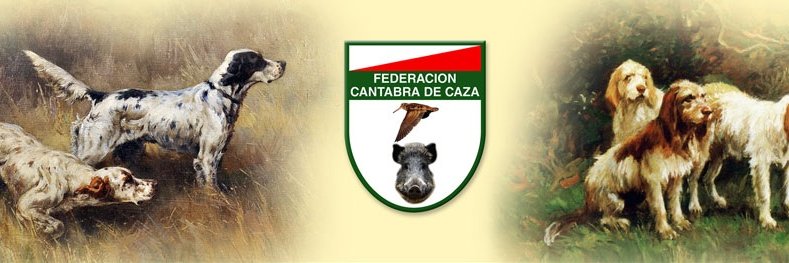 FCCaza's profile banner image