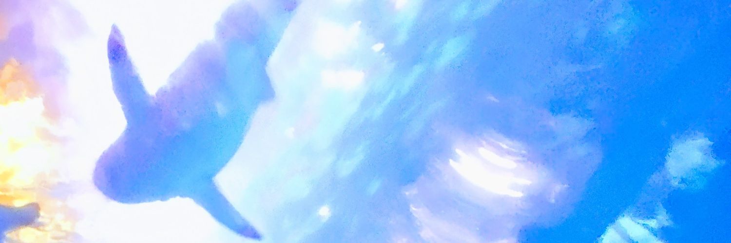 C*Slaughter banner