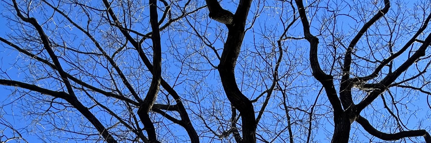 Melissam's banner