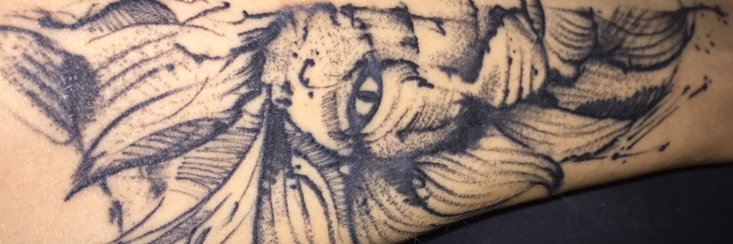 Eddebudal's profile banner image