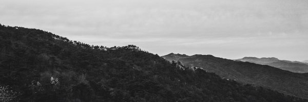 variouslife_t Profile Banner