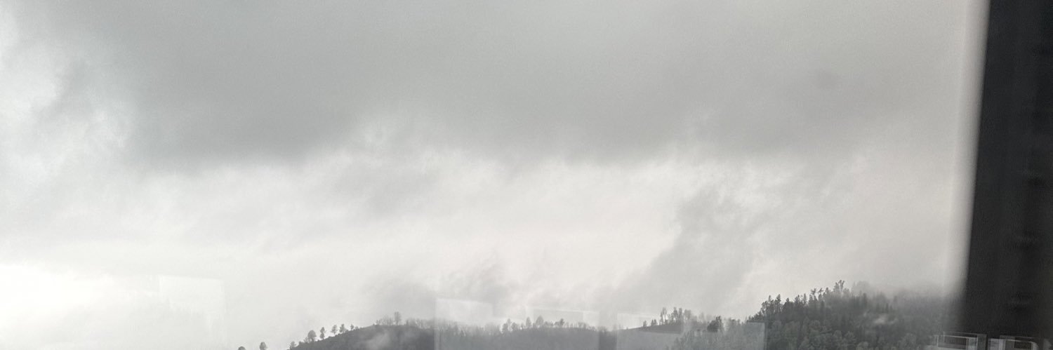 Rosecoloredlies's profile banner image