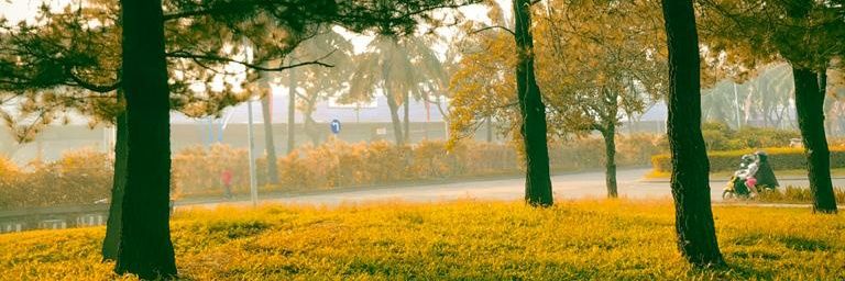 RidoneMunawar's profile banner image