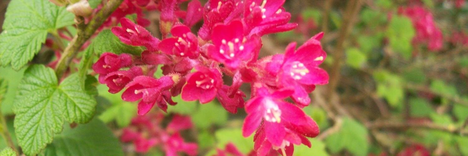 Lmarie1990's profile banner image