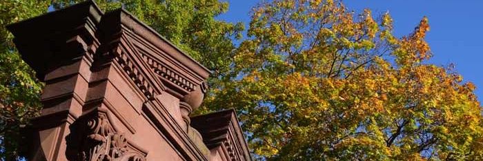 Dr. Adam D. Fried banner