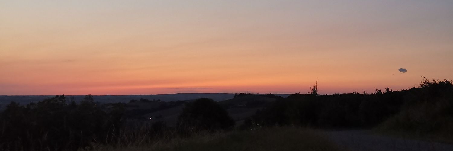Cécile 🌼🌼🌼 banner