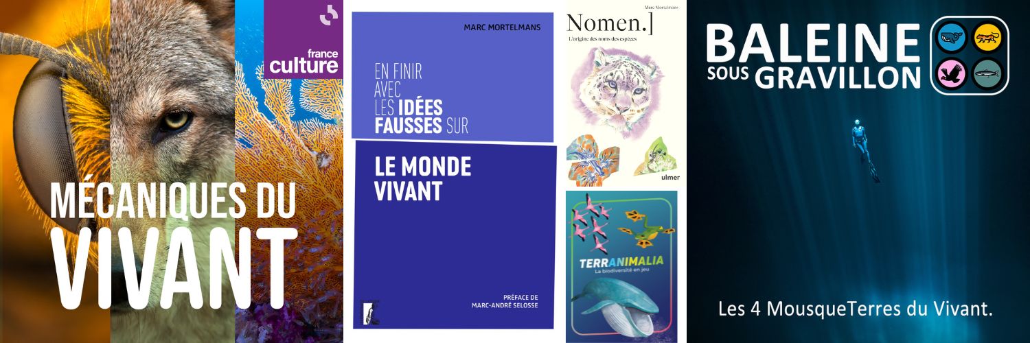 Baleine sous Gravillon - Marc Mortelmans🙈🙉🙊 banner