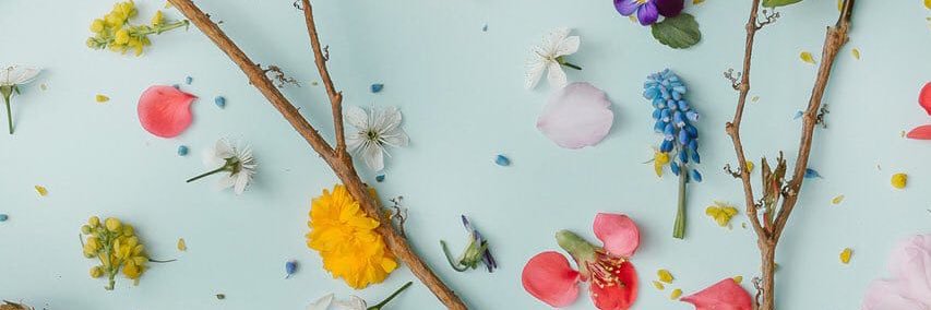 Sevde Ocak Karakeçili banner