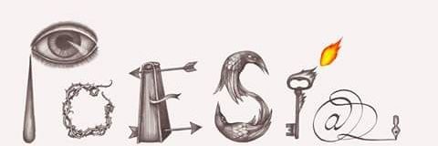 caciatora's profile banner image