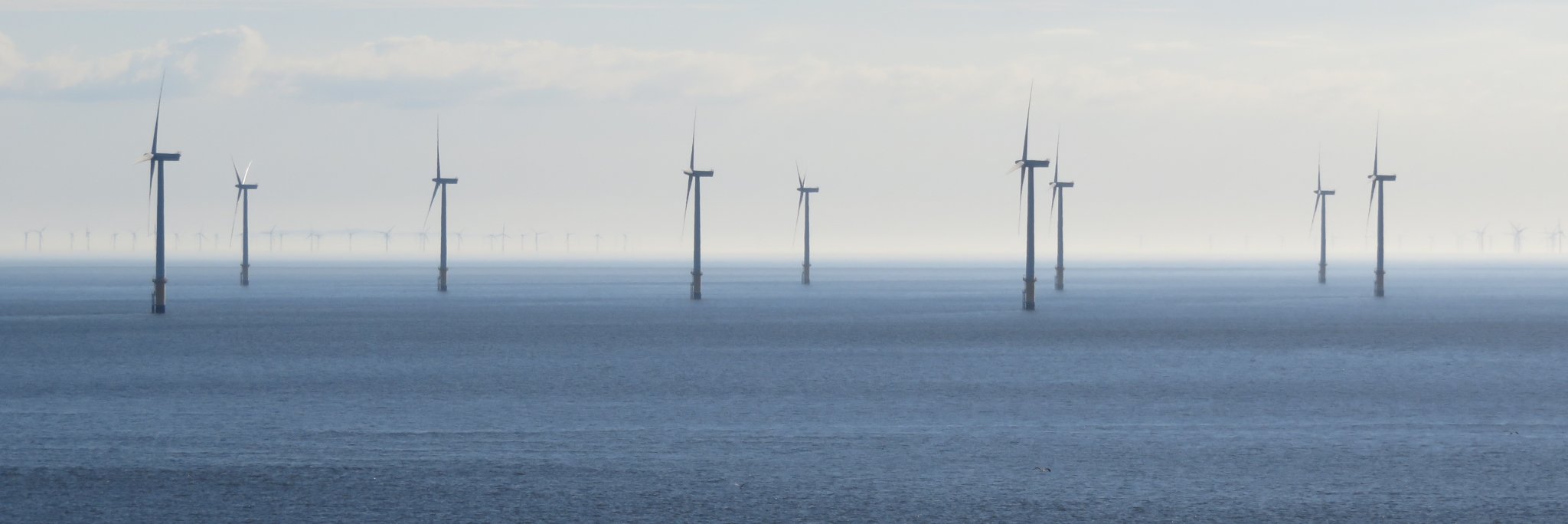 Hugh - just one voice 💪 banner