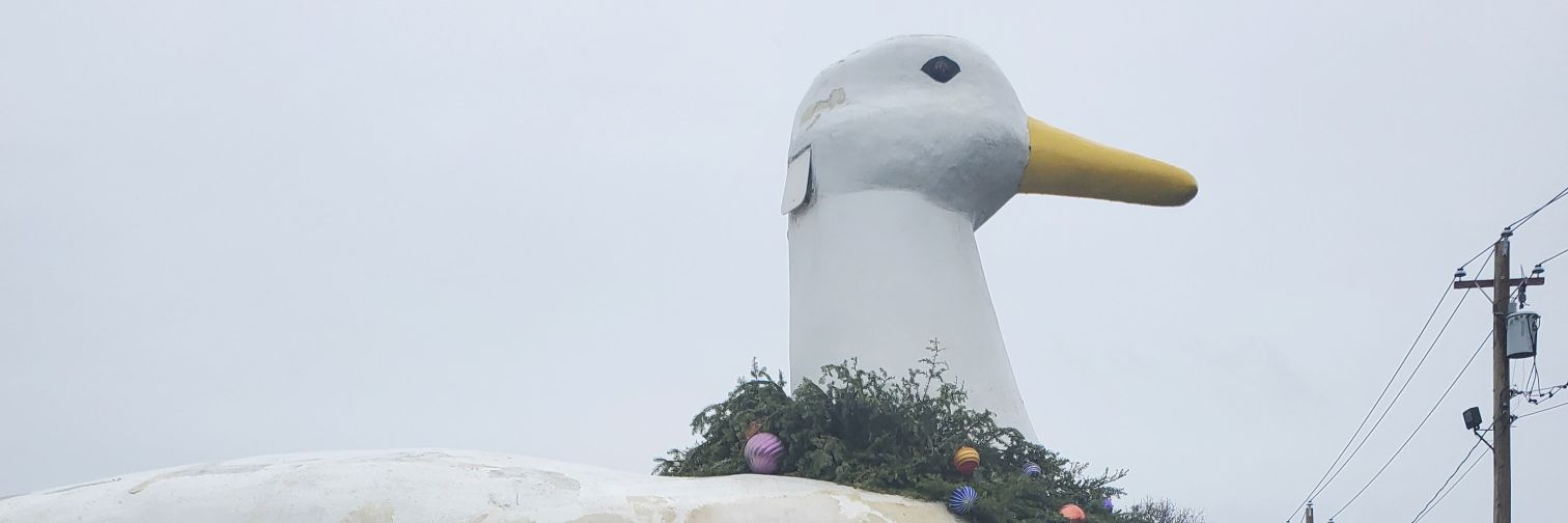 LoboDoesGame's profile banner image