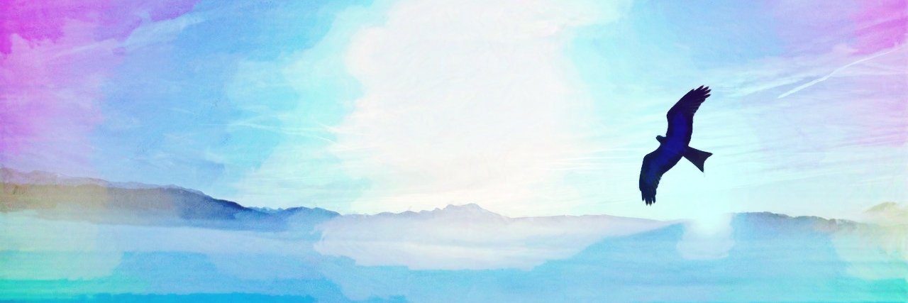 djnelson's profile banner image