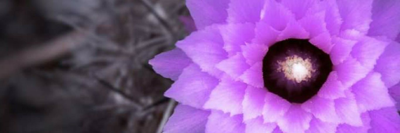 Pablo Guerrero banner