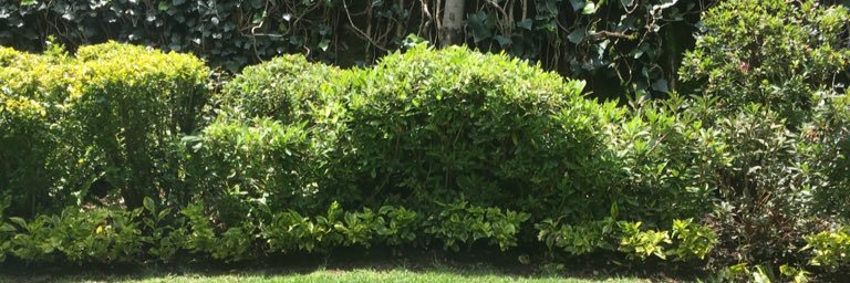 puisito's profile banner image