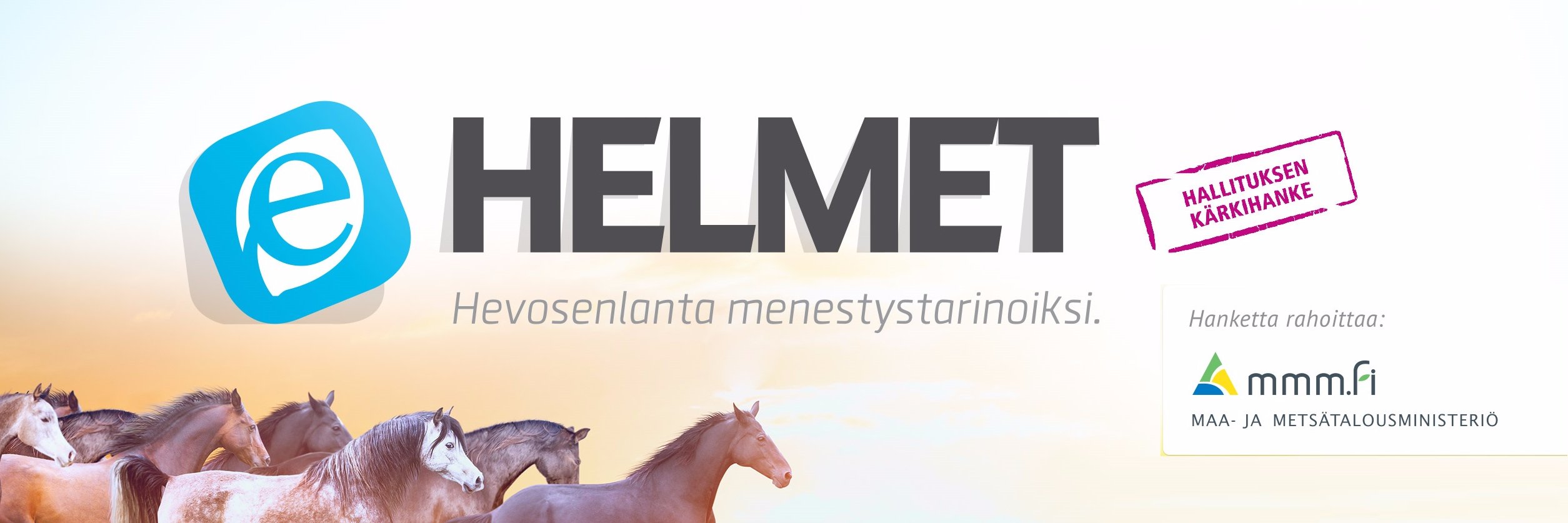 Helmetkanava's profile banner image