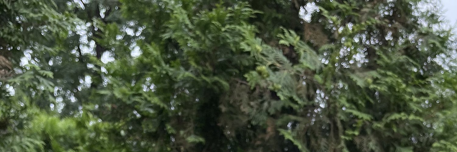 hd115__'s profile banner image
