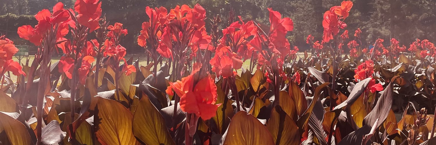 Devyani Saxena banner