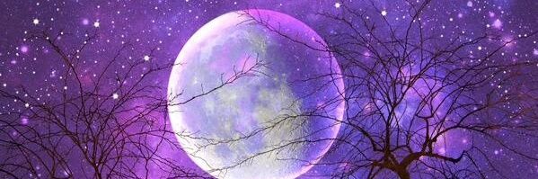 Mary_aapp's profile banner image