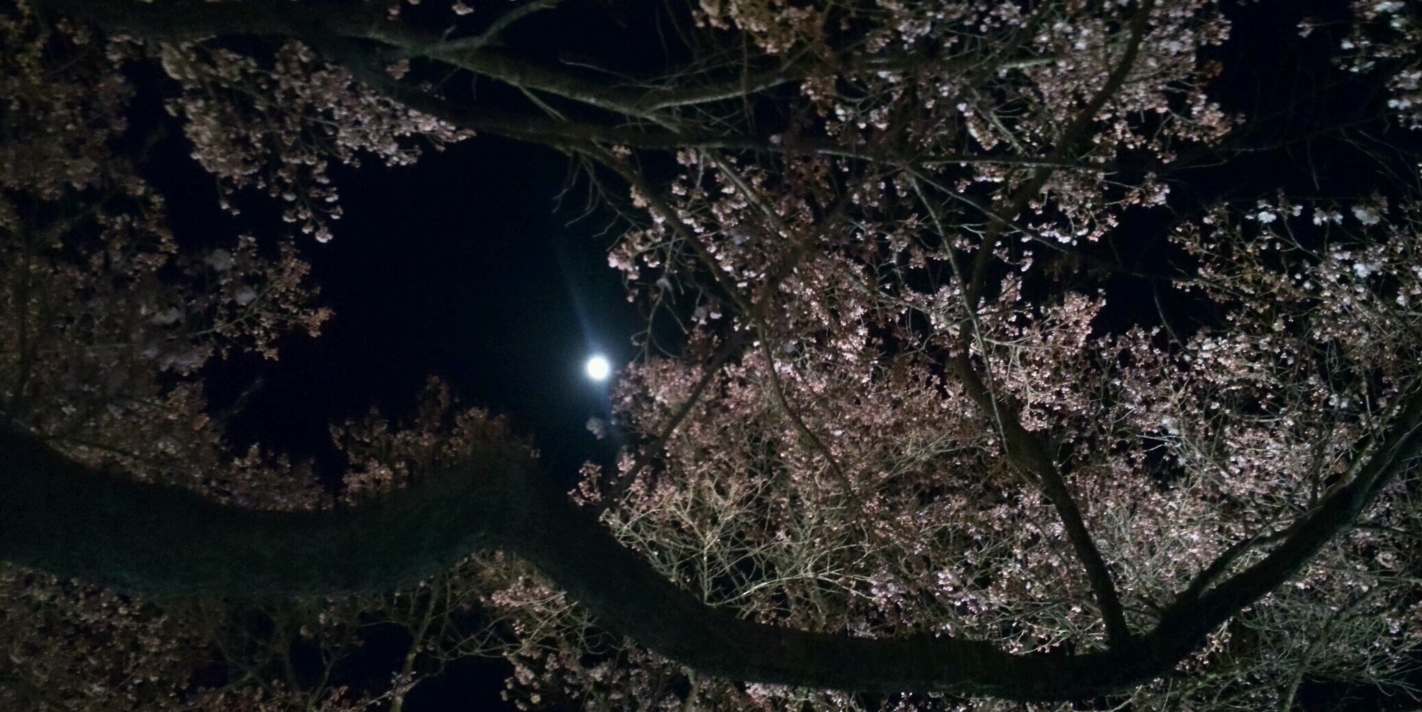 HappySoku's profile banner image