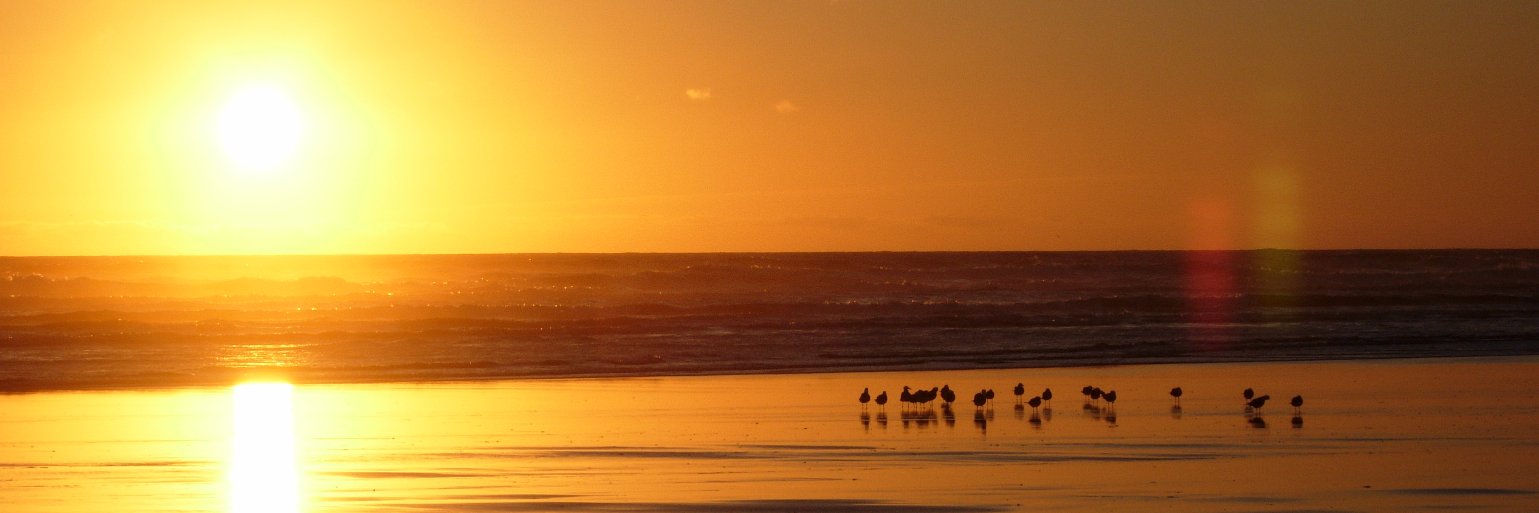 TravelOShores's profile banner image