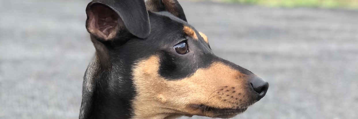 BrookeFullarton's profile banner image