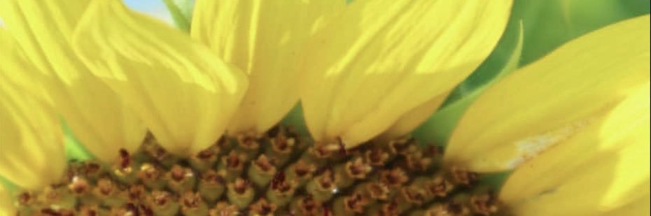 Dee_The_Real's profile banner image