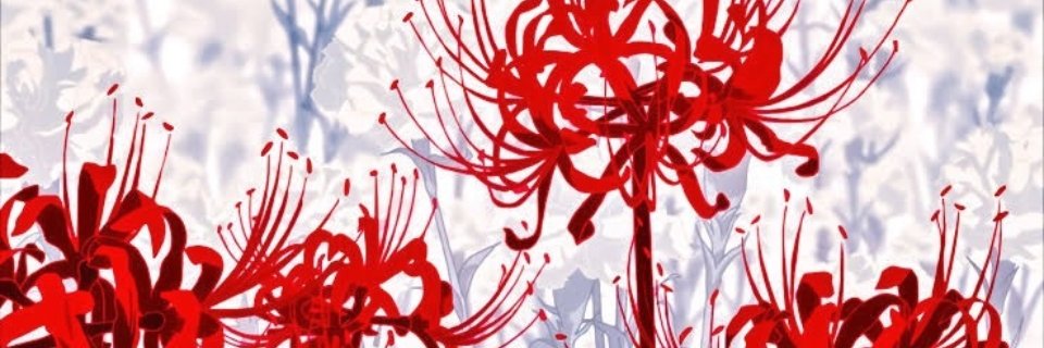 Enigma banner
