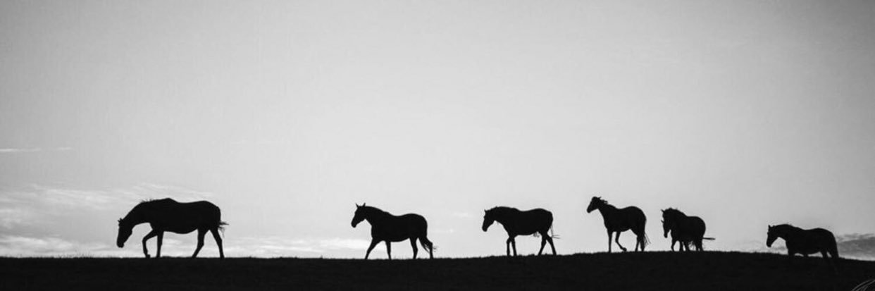 kfo501's profile banner image