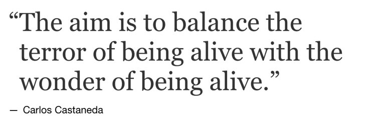 Equality7-2521 🌏 banner