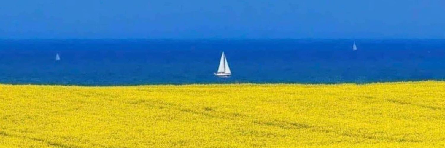Botanio's profile banner image