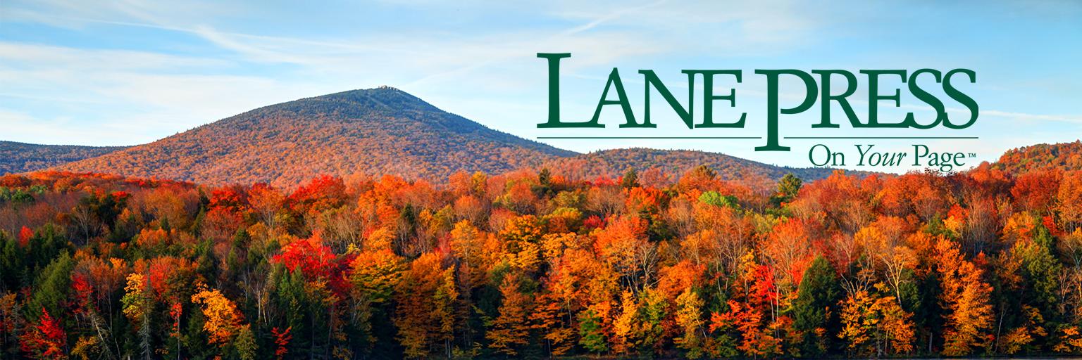 thelanepress's profile banner image