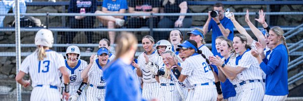 BluejaySoftball Profile Banner