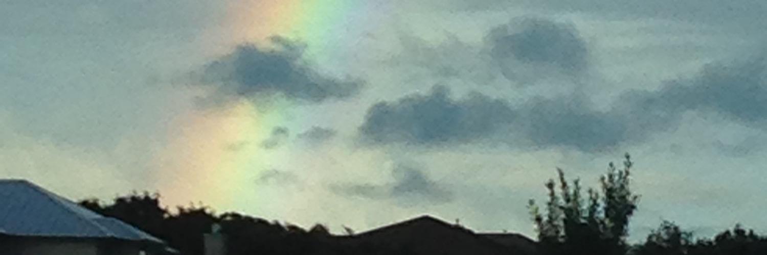 SuzanneBelote's profile banner image