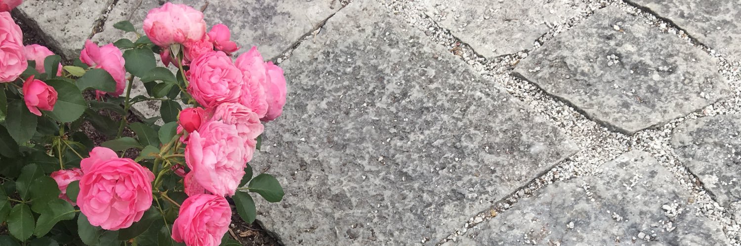 emmastiernlof's profile banner image