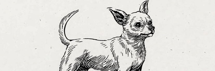 paulhuby's profile banner image