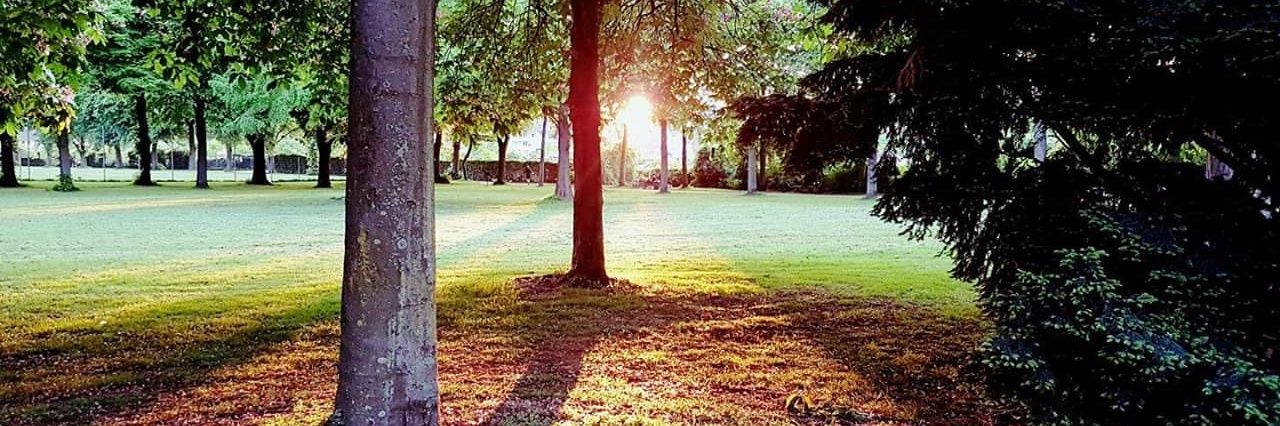 Lookforliza's profile banner image