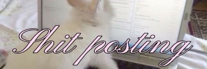 ciinamongirrl's profile banner image