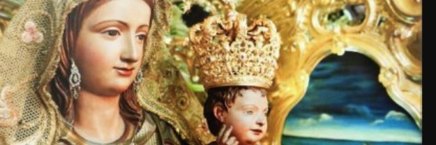 MariaAveiro's profile banner image