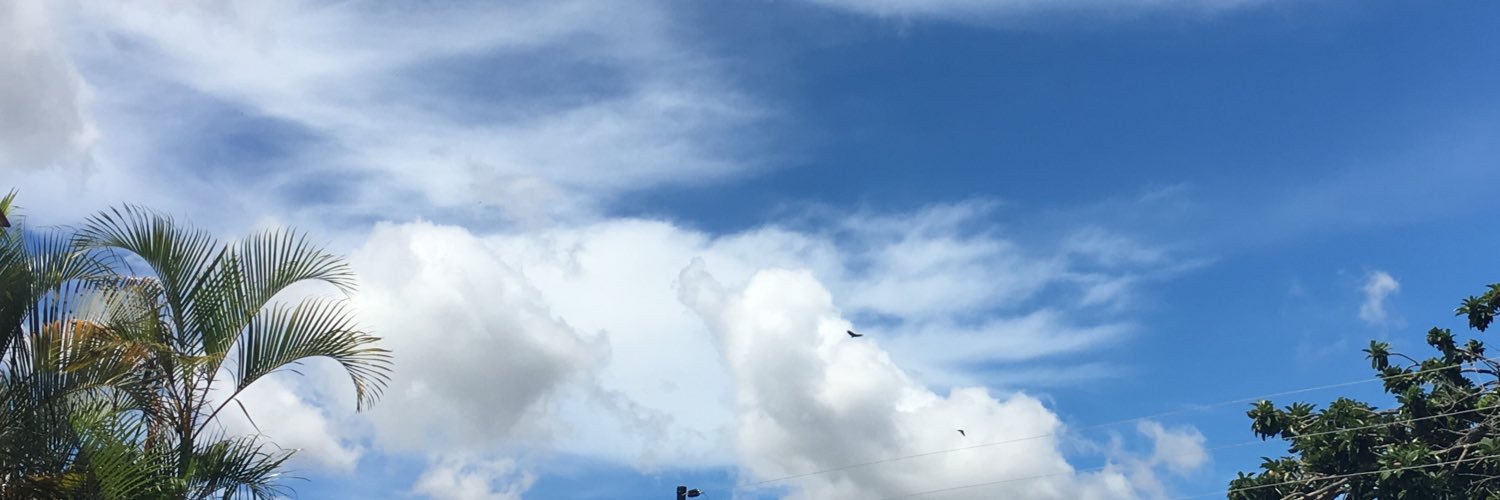 aciFue's profile banner image