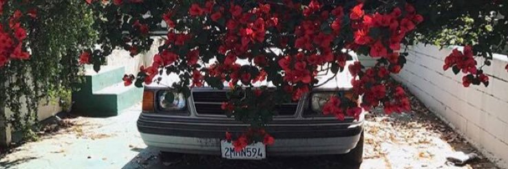 cannon_sl's profile banner image