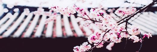 AndShePrays's profile banner image
