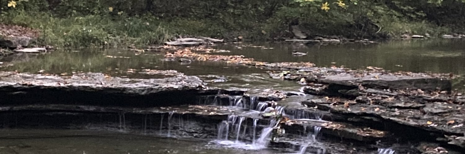 Sandra Richtermeyer banner