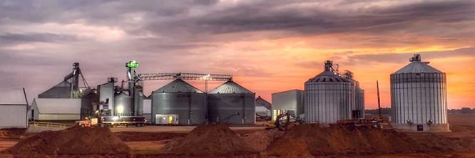 Chippewa Valley Bean banner