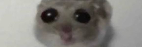 Somebody banner