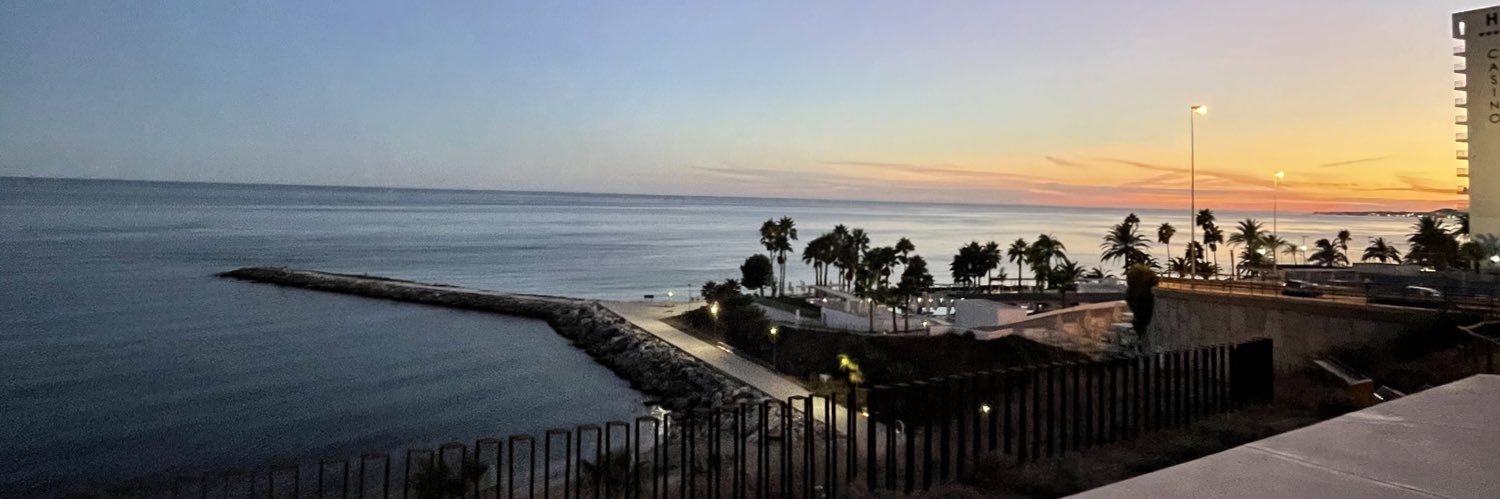 Emil Petersson banner